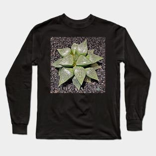 Haworthia Retusa Long Sleeve T-Shirt